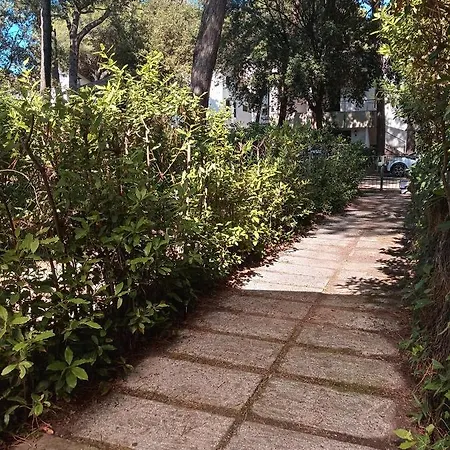 La Casa Delle Pigne